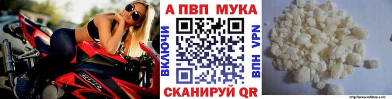shop как зайти  Котельниково  Альфа ПВП крисы CK 