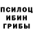 Псилоцибиновые грибы мухоморы Roman Laskov