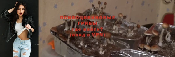 гашик Балахна